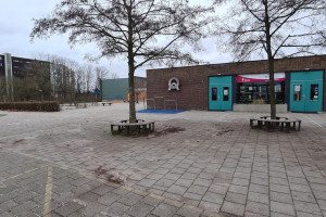 Groene schoolpleinen voor een duurzamere en gezondere toekomst